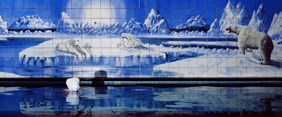 Jaye Rhee: Polar Bear 1