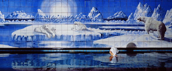 Jaye Rhee: Polar Bear 3