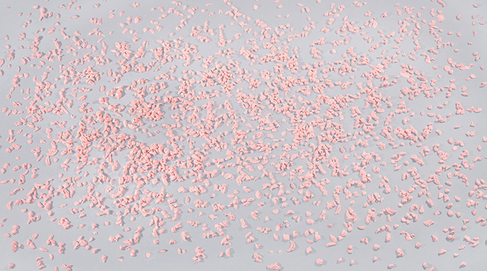Jaye Rhee: Cherry Blossoms