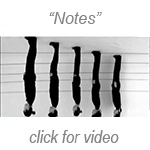 Jaye Rhee: Notes video