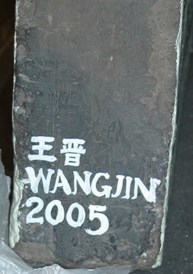 Wang Jin