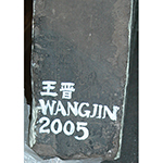 Wang Jin